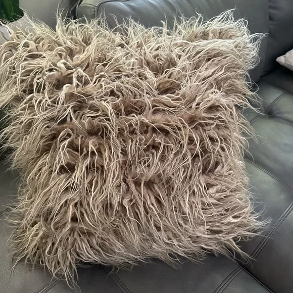 Pottery Barn faux fur pillow & insert - Picture 9 of 16